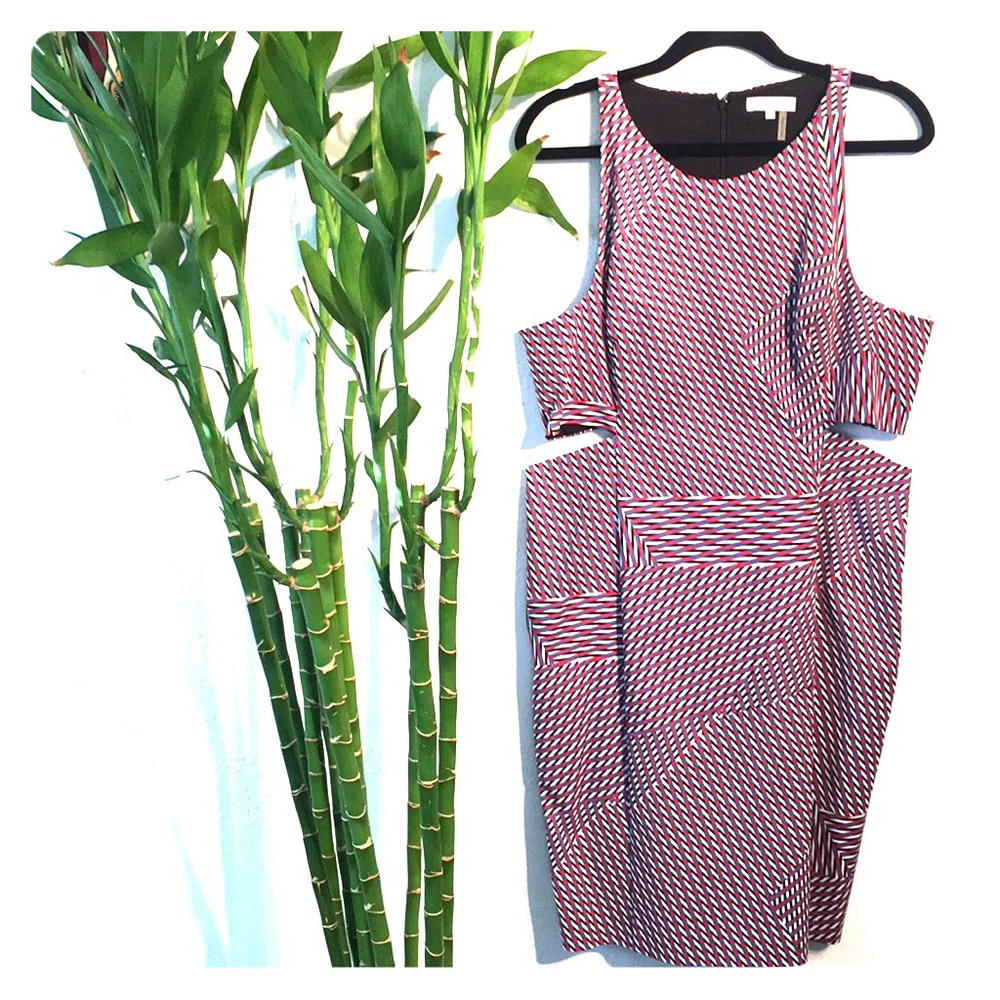 Cute Dress with Side Cut Outs